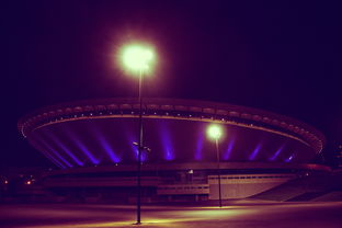 leyucom官网登录入口-2025电竞新篇章：超级联赛精彩纷呈，谁会登顶？，2020电竞赛事